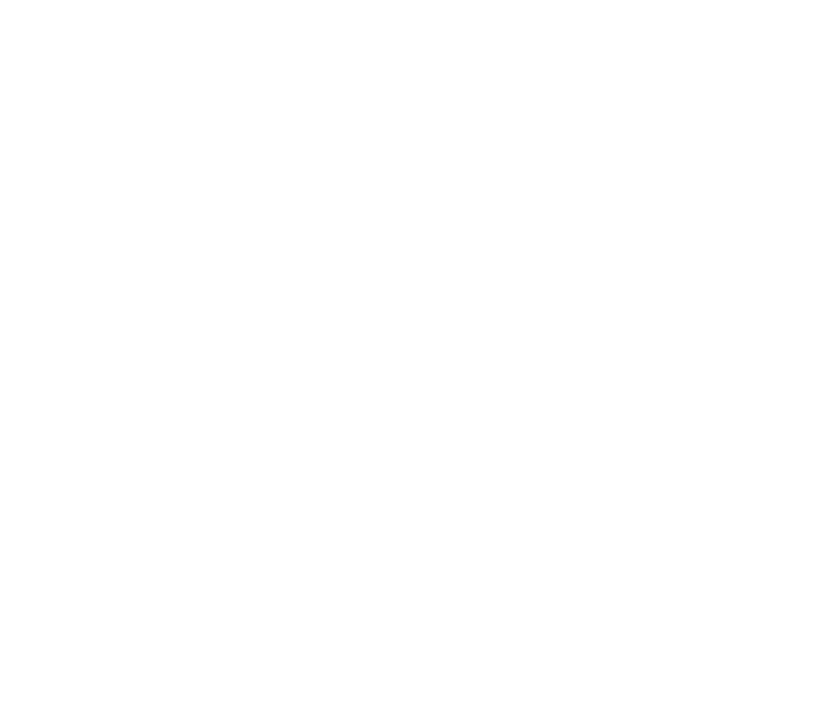 Icono Evelyn desde las regiones